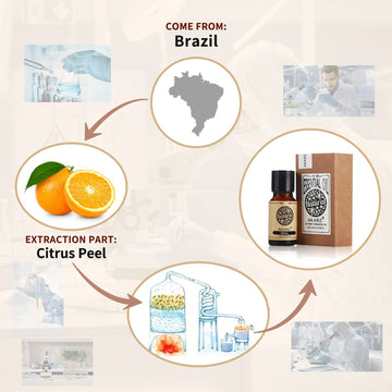 Citrus Essential Oil AKARZ Natural And Pure (30ML 100ML)